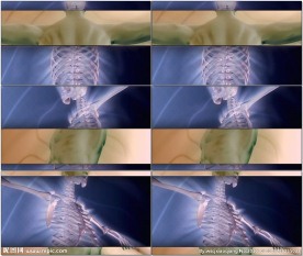 人体骨骼旋转展示动态视频