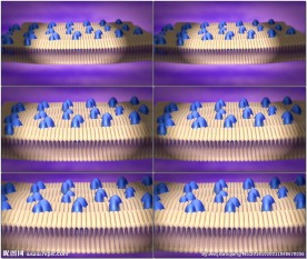 细胞膜和转运蛋白