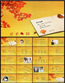 框架完整精美个人竞聘求职述职报