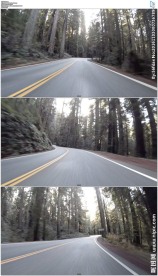 森林公路穿梭
