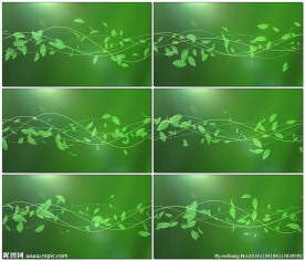 清新茶叶飘动动态背景