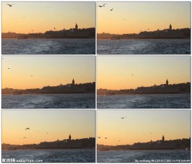 海边港口游轮海鸥