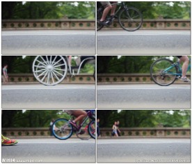 马车与自行车行驶在马路上