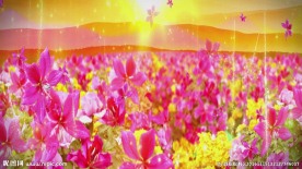 日照中华河山祖国长城花海LED