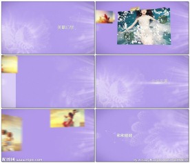 唯美浪漫粒子花开背景AE相册模