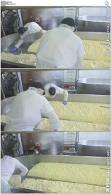工厂奶酪制作