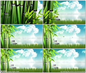 竹林竹子水潭荷花