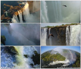 雄鹰飞越瀑布大峡谷