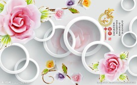 家和富贵立体花朵背景墙