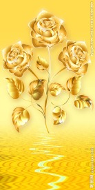 金色玫瑰玄关
