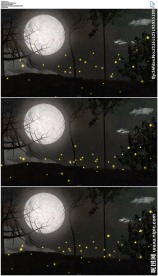 月亮萤火虫背景