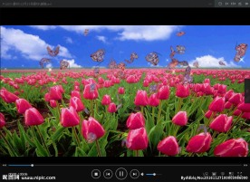 花朵 蝴蝶 LED 动态 背景