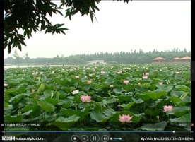 北京LED 动态 背景素材