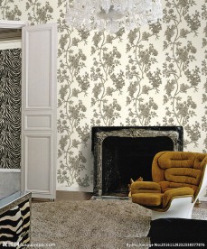 墙纸空间  室内   家具