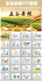 农产品农作物五谷杂粮PPT