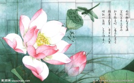 3d方块背景爱莲说