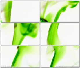 绿色的烟雾在白色背景上