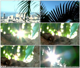 白天的自然环境