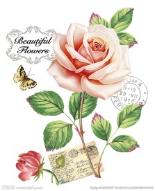 绚烂玫瑰 图层分层