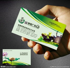 茶名片