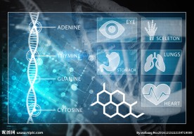 医院科室类别图