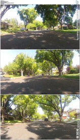 在绿树成荫的街道上骑车