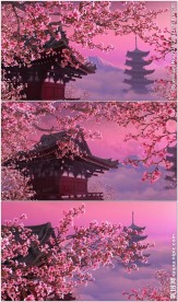 樱花时节动态背景