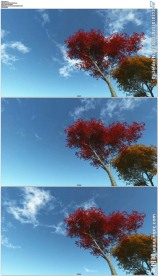 蓝天下秋叶红叶