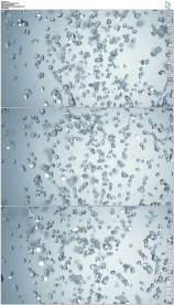 跳动的水花水滴