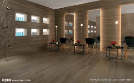 瓷砖效果图  客厅