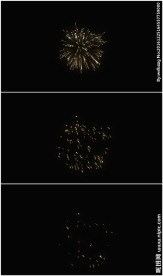 金黄色烟花绽放