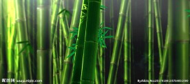 竹子 背景