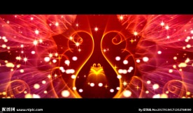 红花 炫彩动态视频