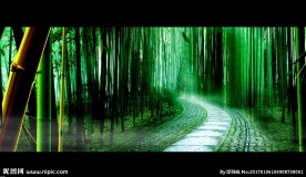 竹林小路