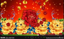 喜庆富贵牡丹花