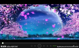 唯美四季梦幻景色高端婚礼