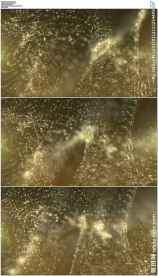 扰动的金色粒子波纹