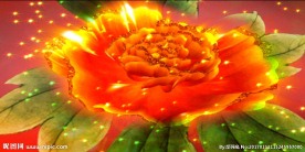 晚会大气开场 牡丹花开