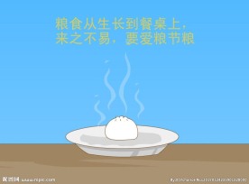 粮食的生成过程flash动画