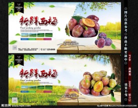 西梅 休闲食品 话梅 蜜线