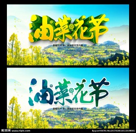 油菜花