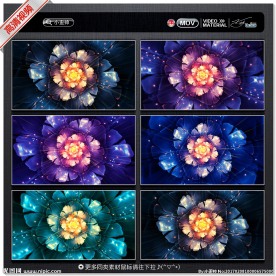 梦幻花朵视频背景