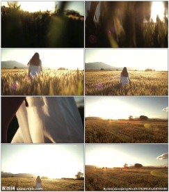 行走在麦田中的女孩