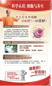 健康教育知识--细胞与养生