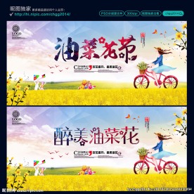 油菜花节 醉美油菜花