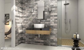 瓷砖效果图  室内  洗手间