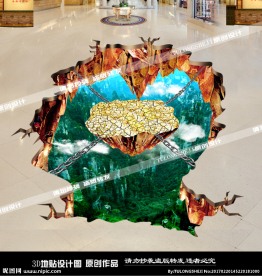 3D地贴画
