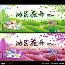 油菜花开