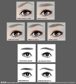 AI逼真纹眉眼睛眉毛矢量图