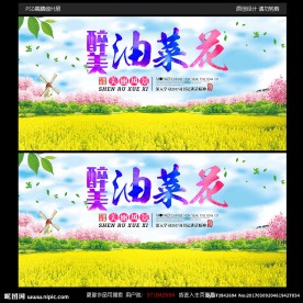 油菜花海报